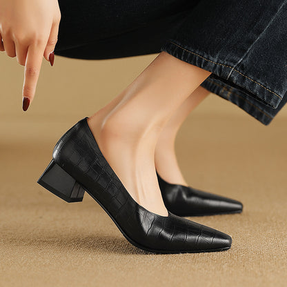 Pointed Toe Thick Low Heel Shoes Women